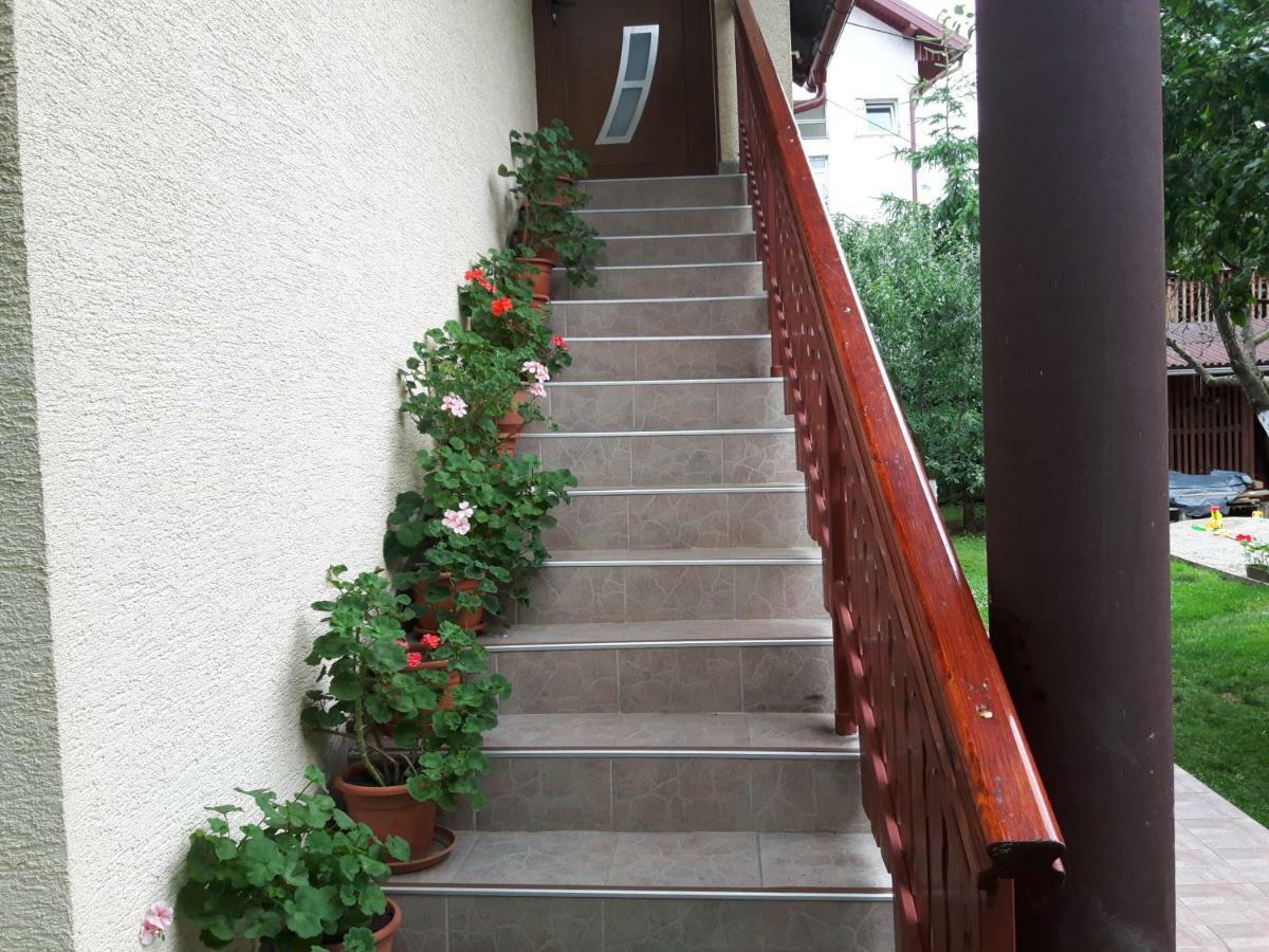 Apartman Petra & Tena سلوني المظهر الخارجي الصورة