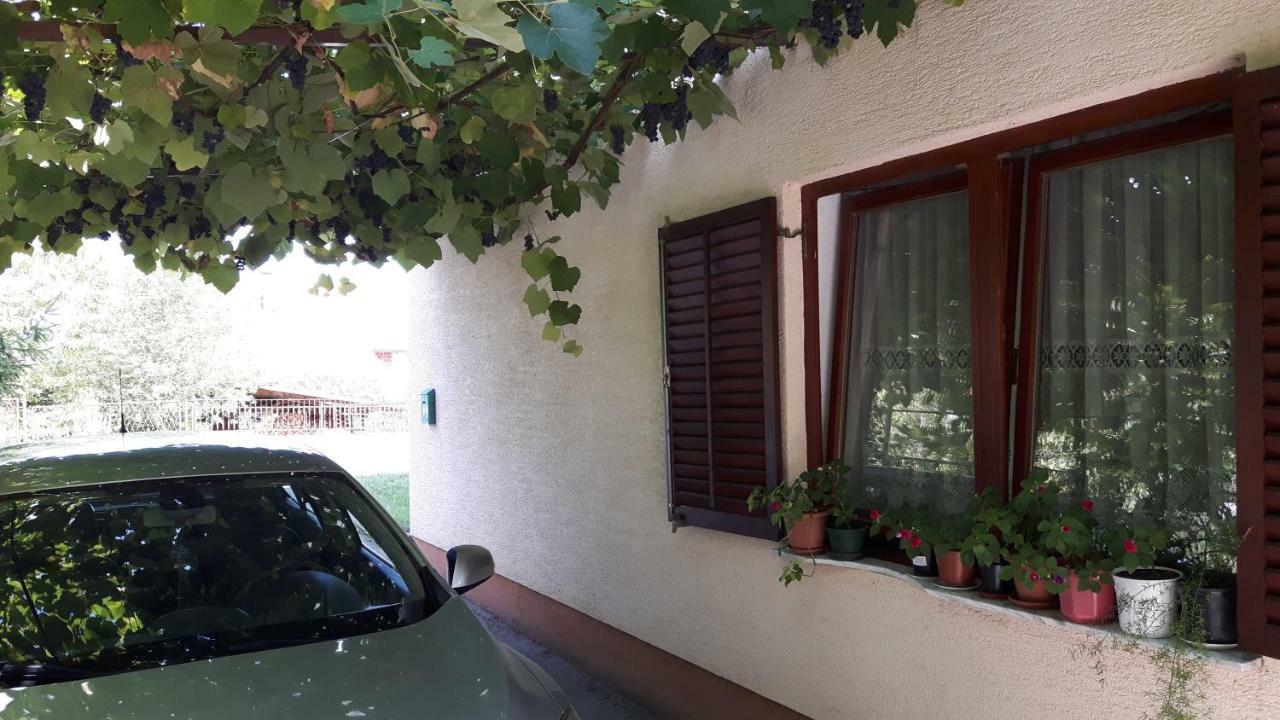 Apartman Petra & Tena سلوني المظهر الخارجي الصورة